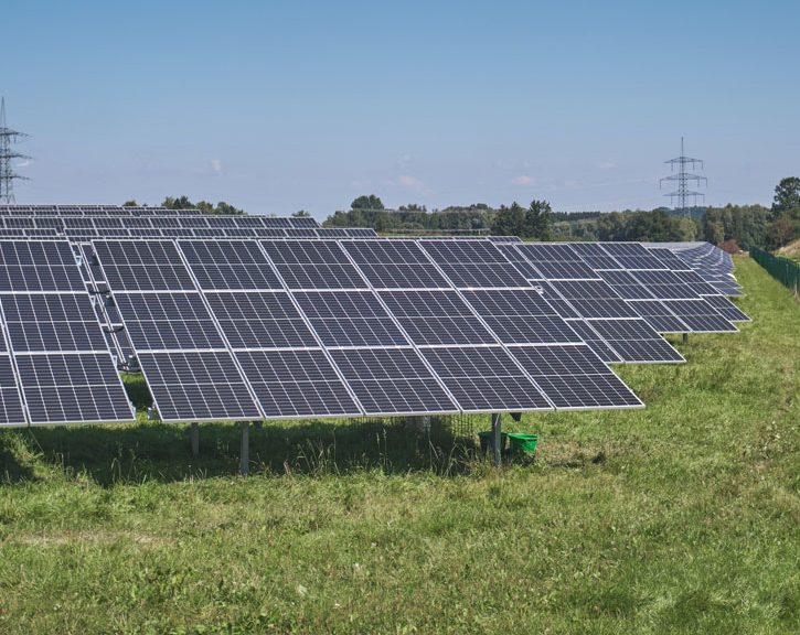Paneles solares en un campo verde, bajo un cielo despejado.