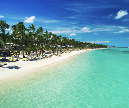 Playa de arena blanca con aguas turquesas y palmeras en un día soleado.