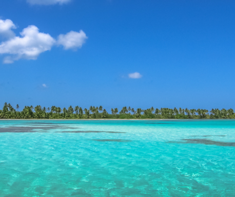 Mar turquesa con palmeras al fondo bajo un cielo despejado y soleado.