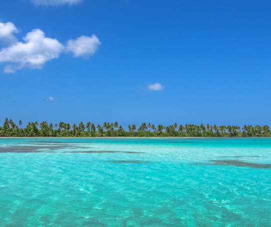 WEBINAR: Ser desarrollador inmobiliario en República Dominicana: Claves del éxito Mar turquesa con palmeras y cielo azul despejado.