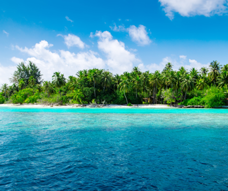 Playa tropical con aguas turquesas y palmeras frondosas bajo un cielo azul.